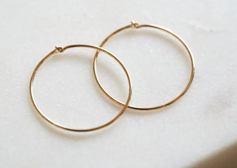 Hoop earrings with rhinestone embellishments for a glamorous and sparkling look-LA Hoops