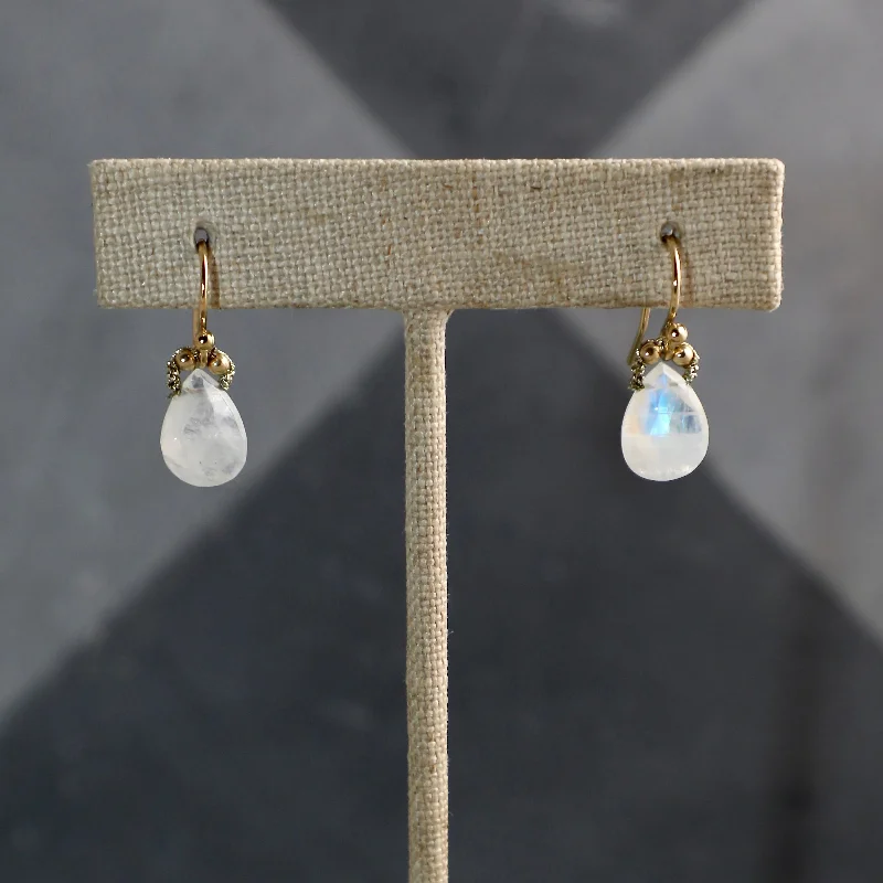 Best hoop earrings with snake-inspired designs for an edgy and fierce vibe-Faceted Moonstone Drops