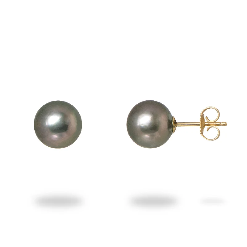 Hoop earrings with colorful beads for a fun and playful vibe-Tahitian Black Pearl Earrings in Gold - 8-9mm