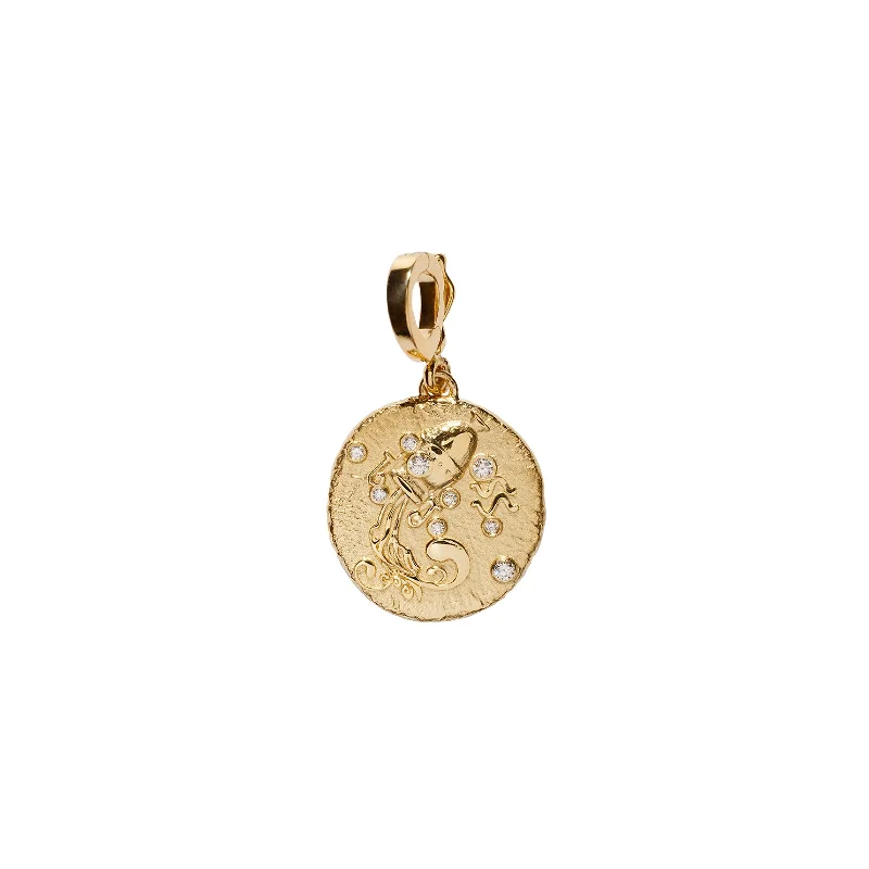 Stunning necklaces and pendants with amethyst gemstones for a calming effect-Zodiac Small Coin Charm - Aquarius